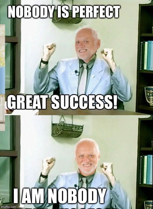 Great Success Harold | NOBODY IS PERFECT I AM NOBODY | image tagged in great success harold | made w/ Imgflip meme maker