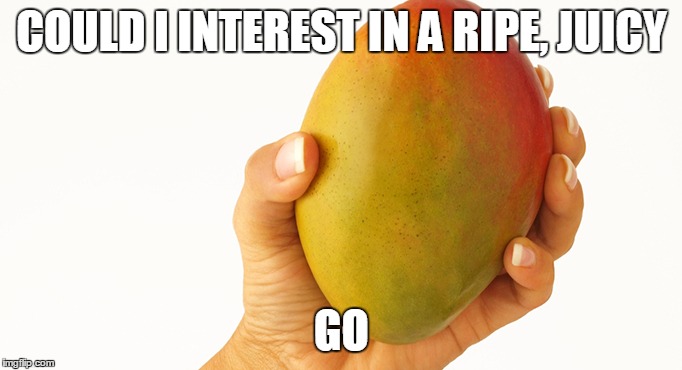 COULD I INTEREST IN A RIPE, JUICY GO | made w/ Imgflip meme maker