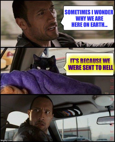 The Rock Driving | SOMETIMES I WONDER WHY WE ARE HERE ON EARTH... IT'S BECAUSE WE WERE SENT TO HELL | image tagged in the rock driving evil cat,memes,evil | made w/ Imgflip meme maker