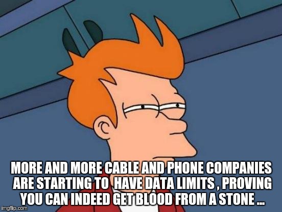 Futurama Fry | MORE AND MORE CABLE AND PHONE COMPANIES ARE STARTING TO  HAVE DATA LIMITS , PROVING YOU CAN INDEED GET BLOOD FROM A STONE ... | image tagged in memes,futurama fry | made w/ Imgflip meme maker