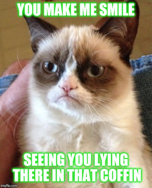 Grumpy Cat | YOU MAKE ME SMILE; SEEING YOU LYING THERE IN THAT COFFIN | image tagged in memes,grumpy cat | made w/ Imgflip meme maker