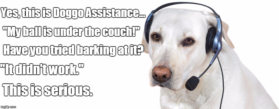 Doggo Assistance | Yes, this is Doggo Assistance... "My ball is under the couch!"; Have you tried barking at it? "It didn't work."; This is serious. | image tagged in funny,memes,dog | made w/ Imgflip meme maker