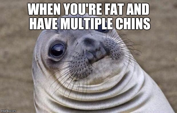 Awkward Moment Sealion | WHEN YOU'RE FAT AND HAVE MULTIPLE CHINS | image tagged in memes,awkward moment sealion | made w/ Imgflip meme maker