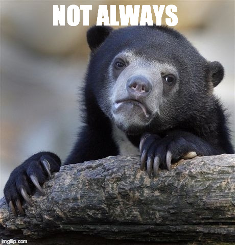 Confession Bear Meme | NOT ALWAYS | image tagged in memes,confession bear | made w/ Imgflip meme maker