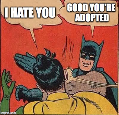 Batman Slapping Robin | I HATE YOU; GOOD YOU'RE ADOPTED | image tagged in memes,batman slapping robin | made w/ Imgflip meme maker