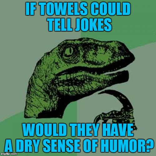 Philosoraptor Meme | IF TOWELS COULD TELL JOKES; WOULD THEY HAVE A DRY SENSE OF HUMOR? | image tagged in memes,philosoraptor | made w/ Imgflip meme maker