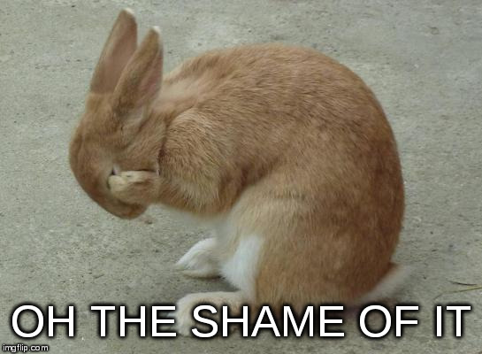 bunny facepalm | OH THE SHAME OF IT | image tagged in bunny facepalm | made w/ Imgflip meme maker