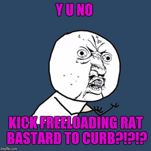 Y U No Meme | Y U NO KICK FREELOADING RAT BASTARD TO CURB?!?!? | image tagged in memes,y u no | made w/ Imgflip meme maker