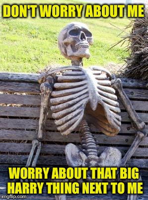 What's that thing on the right? | DON'T WORRY ABOUT ME; WORRY ABOUT THAT BIG HARRY THING NEXT TO ME | image tagged in memes,waiting skeleton | made w/ Imgflip meme maker