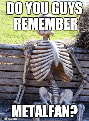 What happened to that user... | DO YOU GUYS REMEMBER; METALFAN? | image tagged in memes,waiting skeleton | made w/ Imgflip meme maker