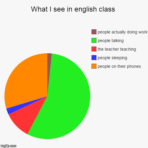 image tagged in funny,pie charts | made w/ Imgflip chart maker