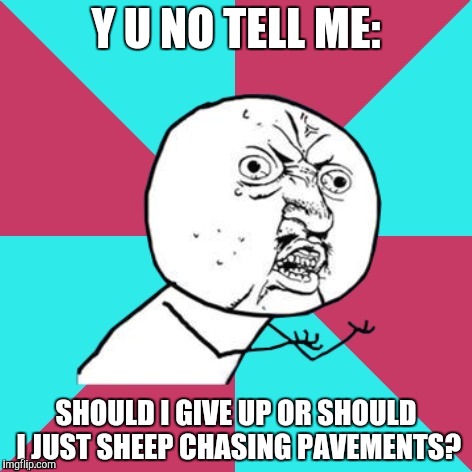 Chasing Pavements- Adele | Y U NO TELL ME:; SHOULD I GIVE UP OR SHOULD I JUST SHEEP CHASING PAVEMENTS? | image tagged in y u no music,adele,chasing pavements,good song | made w/ Imgflip meme maker
