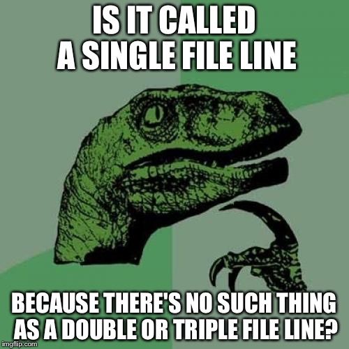 Philosoraptor | IS IT CALLED A SINGLE FILE LINE; BECAUSE THERE'S NO SUCH THING AS A DOUBLE OR TRIPLE FILE LINE? | image tagged in memes,philosoraptor | made w/ Imgflip meme maker