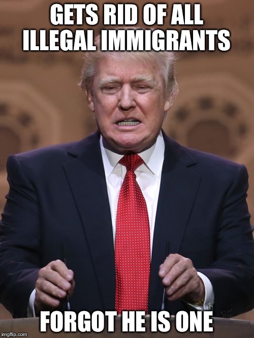 Donald Trump | GETS RID OF ALL ILLEGAL IMMIGRANTS; FORGOT HE IS ONE | image tagged in donald trump | made w/ Imgflip meme maker