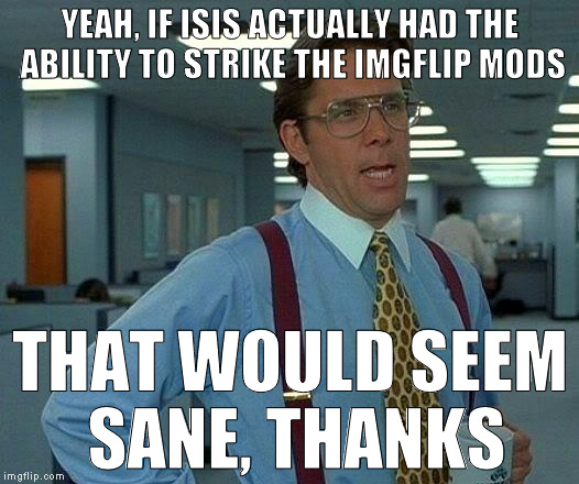 That Would Be Great Meme | YEAH, IF ISIS ACTUALLY HAD THE ABILITY TO STRIKE THE IMGFLIP MODS THAT WOULD SEEM SANE, THANKS | image tagged in memes,that would be great | made w/ Imgflip meme maker