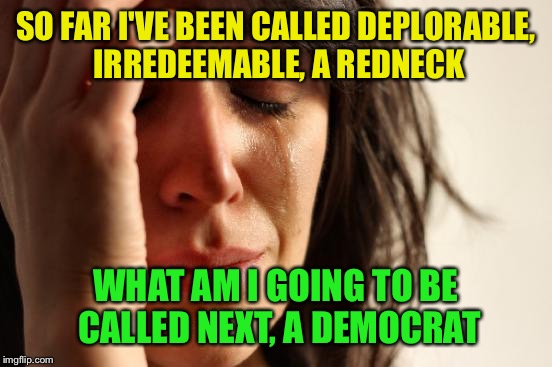 She calls this the "high road"? | SO FAR I'VE BEEN CALLED DEPLORABLE, IRREDEEMABLE, A REDNECK; WHAT AM I GOING TO BE CALLED NEXT, A DEMOCRAT | image tagged in memes,first world problems | made w/ Imgflip meme maker