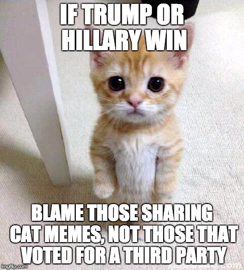 Cute Cat | IF TRUMP OR HILLARY WIN; BLAME THOSE SHARING CAT MEMES, NOT THOSE THAT VOTED FOR A THIRD PARTY | image tagged in memes,cute cat | made w/ Imgflip meme maker
