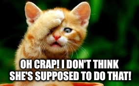 OH CRAP! I DON'T THINK SHE'S SUPPOSED TO DO THAT! | made w/ Imgflip meme maker