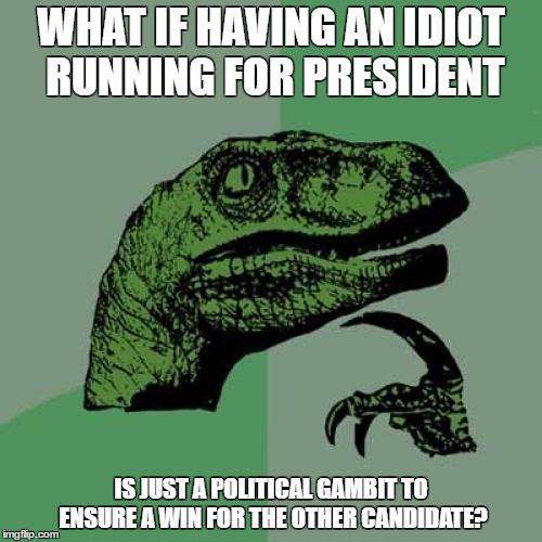 Philosoraptor Meme | WHAT IF HAVING AN IDIOT RUNNING FOR PRESIDENT; IS JUST A POLITICAL GAMBIT TO ENSURE A WIN FOR THE OTHER CANDIDATE? | image tagged in memes,philosoraptor | made w/ Imgflip meme maker