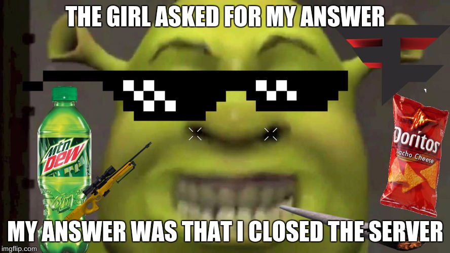 A girl on a server asked for me to go out with her..... she did not like the reply | THE GIRL ASKED FOR MY ANSWER; MY ANSWER WAS THAT I CLOSED THE SERVER | image tagged in shrekt,rekt,memes | made w/ Imgflip meme maker