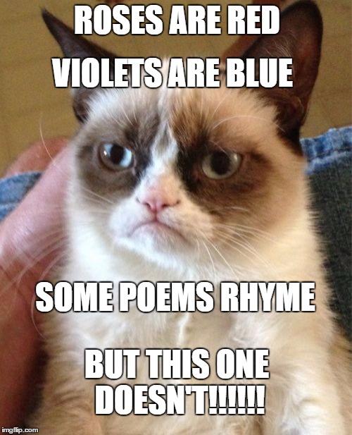 Grumpy Cat | VIOLETS ARE BLUE; ROSES ARE RED; SOME POEMS RHYME; BUT THIS ONE DOESN'T!!!!!! | image tagged in memes,grumpy cat | made w/ Imgflip meme maker