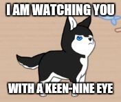 I AM WATCHING YOU; WITH A KEEN-NINE EYE | image tagged in guard duty | made w/ Imgflip meme maker