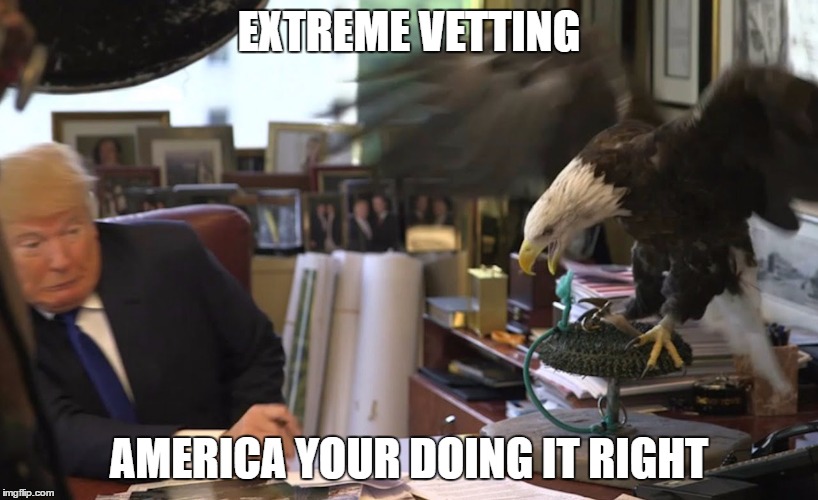 Americas Extreme Vetting of presidential candidates  | EXTREME VETTING; AMERICA YOUR DOING IT RIGHT | image tagged in donald trump | made w/ Imgflip meme maker