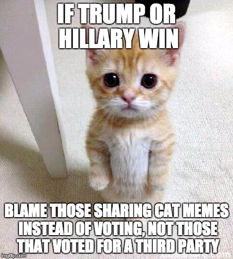 Cute Cat Meme | IF TRUMP OR HILLARY WIN; BLAME THOSE SHARING CAT MEMES INSTEAD OF VOTING, NOT THOSE THAT VOTED FOR A THIRD PARTY | image tagged in memes,cute cat | made w/ Imgflip meme maker
