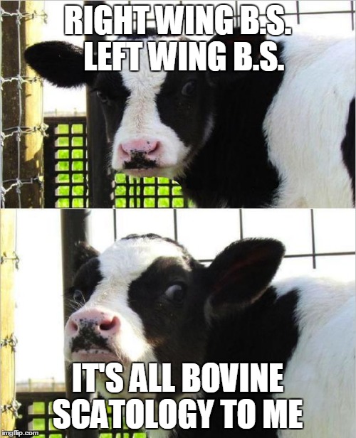 cows | RIGHT WING B.S.  LEFT WING B.S. IT'S ALL BOVINE SCATOLOGY TO ME | image tagged in cows | made w/ Imgflip meme maker