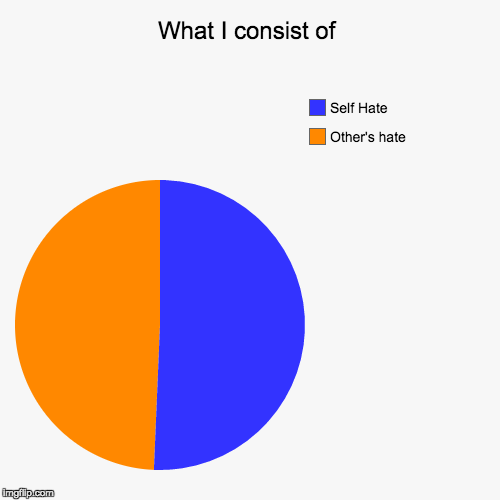 What I consist of | image tagged in funny,pie charts | made w/ Imgflip chart maker