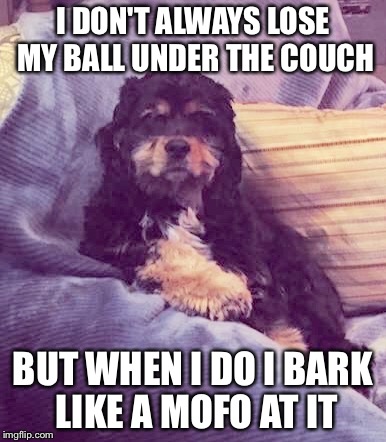 I DON'T ALWAYS LOSE MY BALL UNDER THE COUCH BUT WHEN I DO I BARK LIKE A MOFO AT IT | made w/ Imgflip meme maker