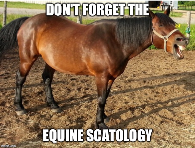LAUGHING HORSE | DON'T FORGET THE EQUINE SCATOLOGY | image tagged in laughing horse | made w/ Imgflip meme maker