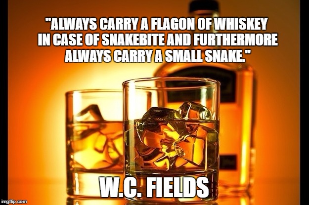WORLD WHISKY DAY | "ALWAYS CARRY A FLAGON OF WHISKEY IN CASE OF SNAKEBITE AND FURTHERMORE ALWAYS CARRY A SMALL SNAKE."; W.C. FIELDS | image tagged in world whisky day | made w/ Imgflip meme maker