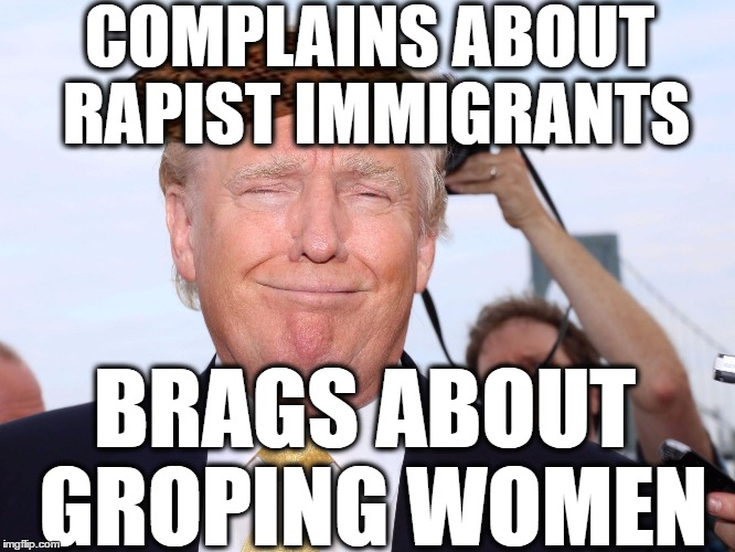 Scumbag Trump | COMPLAINS ABOUT RAPIST IMMIGRANTS; BRAGS ABOUT GROPING WOMEN | image tagged in scumbag trump,scumbag | made w/ Imgflip meme maker