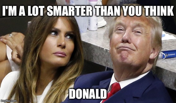 When Your Wife Gives You That Look | I'M A LOT SMARTER THAN YOU THINK; DONALD | image tagged in melania trump,donald trump | made w/ Imgflip meme maker