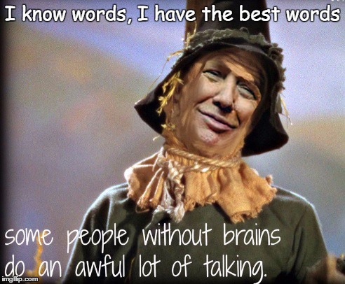 I know words | I know words, I have the best words | image tagged in trump,wizard of oz scarecrow,donald trump | made w/ Imgflip meme maker