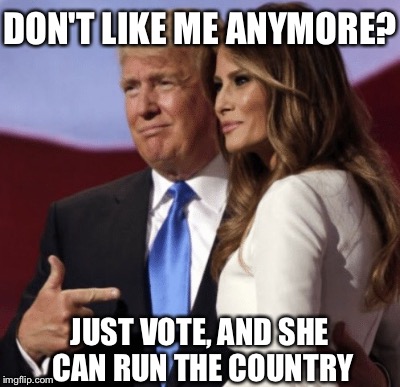 VOTE FOR TRUMP! | DON'T LIKE ME ANYMORE? JUST VOTE, AND SHE CAN RUN THE COUNTRY | image tagged in melania trump,donald trump | made w/ Imgflip meme maker