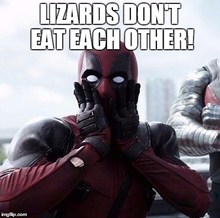 dpsurprise | LIZARDS DON'T EAT EACH OTHER! | image tagged in dpsurprise | made w/ Imgflip meme maker