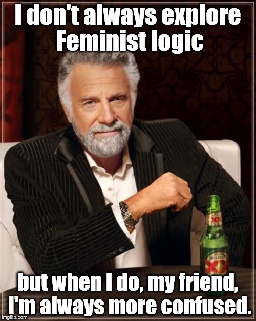 The Most Interesting Man In The World Meme | I don't always explore Feminist logic but when I do, my friend, I'm always more confused. | image tagged in memes,the most interesting man in the world | made w/ Imgflip meme maker