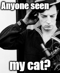 Buster Confused | Anyone seen my cat? | image tagged in buster confused | made w/ Imgflip meme maker