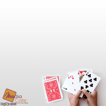 image tagged in gifs | made w/ Imgflip images-to-gif maker