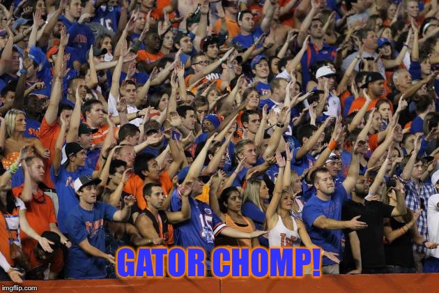 Gator Chomp | GATOR CHOMP! | image tagged in gator chomp | made w/ Imgflip meme maker