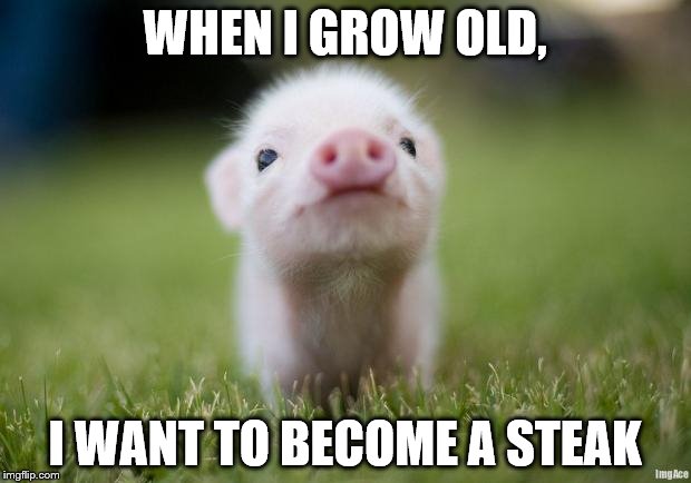 piglet | WHEN I GROW OLD, I WANT TO BECOME A STEAK | image tagged in piglet | made w/ Imgflip meme maker