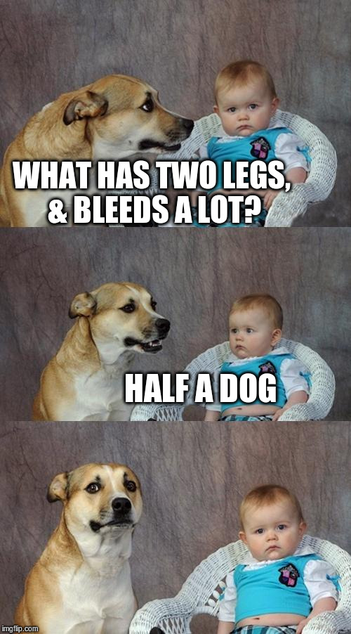 Dad Joke Dog |  WHAT HAS TWO LEGS, & BLEEDS A LOT? HALF A DOG | image tagged in memes,dad joke dog | made w/ Imgflip meme maker