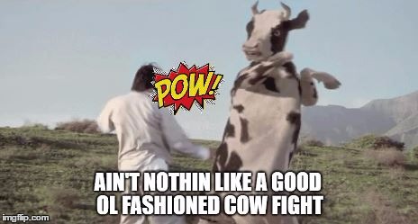 Thanks to jackie0o0hhh for the inspiration :) | . | image tagged in memes,cow,fight | made w/ Imgflip meme maker