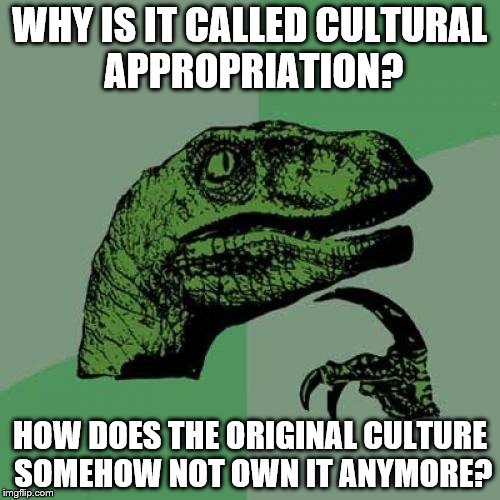 Philosoraptor | WHY IS IT CALLED CULTURAL APPROPRIATION? HOW DOES THE ORIGINAL CULTURE SOMEHOW NOT OWN IT ANYMORE? | image tagged in memes,philosoraptor | made w/ Imgflip meme maker