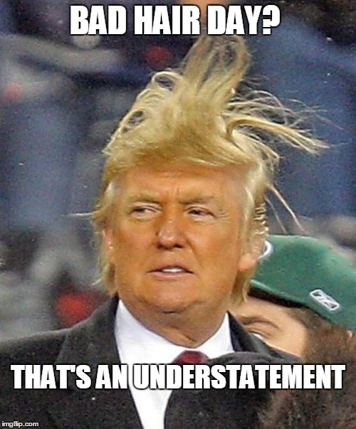 Donald Trumph hair | BAD HAIR DAY? THAT'S AN UNDERSTATEMENT | image tagged in donald trumph hair | made w/ Imgflip meme maker