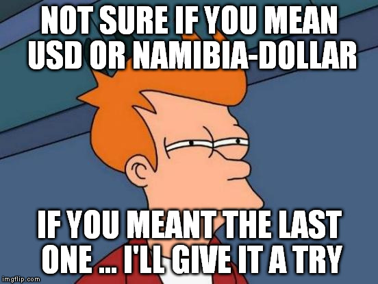 Futurama Fry Meme | NOT SURE IF YOU MEAN USD OR NAMIBIA-DOLLAR IF YOU MEANT THE LAST ONE ... I'LL GIVE IT A TRY | image tagged in memes,futurama fry | made w/ Imgflip meme maker
