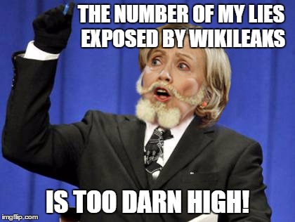 Hillary Too Darn High | THE NUMBER OF MY LIES EXPOSED BY WIKILEAKS; IS TOO DARN HIGH! | image tagged in wikileaks,hillary clinton 2016,hillary lies | made w/ Imgflip meme maker