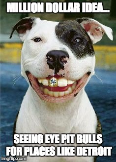 PIt Bull Smile | MILLION DOLLAR IDEA... SEEING EYE PIT BULLS FOR PLACES LIKE DETROIT | image tagged in pit bull smile | made w/ Imgflip meme maker